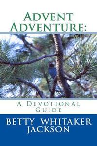 bokomslag Advent Adventure: A Devotional Guide