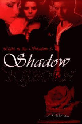 Light in the Shadow 3: Shadow Reborn 1