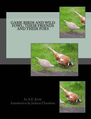 Game Birds and Wild Fowl: Their Friends and Their Foes 1