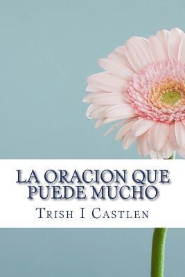 bokomslag La Oracion Que Puede Mucho: Verdades Bíblicas Que Sacudirán Tu Vida Y Transformaran La Manera En Que Oras.