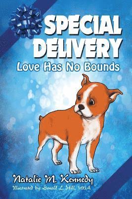 bokomslag Special Delivery: Love Has No Bounds