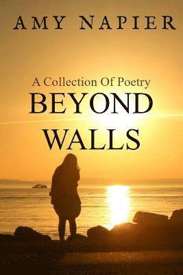 Beyond Walls 1