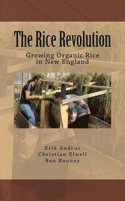 The Rice Revolution: Growing Rice In New England 1