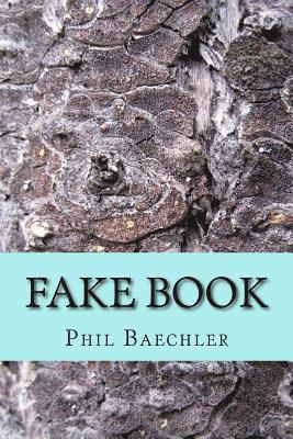 bokomslag Fake Book: Afterlife Adventures of Real Ghosts