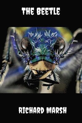 The Beetle