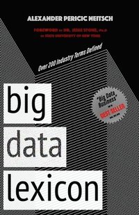 bokomslag Big Data Lexicon: Over 200 Industry Terms Defined And Demystified With Easy To Understand Definitions