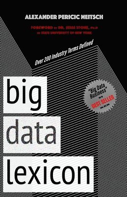 bokomslag Big Data Lexicon: Over 200 Industry Terms Defined And Demystified With Easy To Understand Definitions