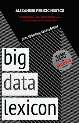 Big Data Lexicon: Over 200 Industry Terms Defined And Demystified With Easy To Understand Definitions 1