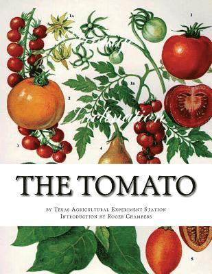 The Tomato 1
