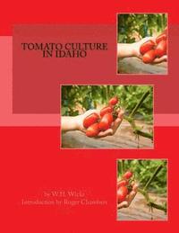 bokomslag Tomato Culture in Idaho