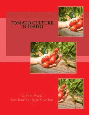 Tomato Culture in Idaho 1