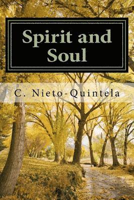 bokomslag Spirit and Soul: Dialogues with a Spirit