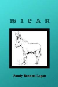 bokomslag Micah