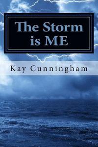 bokomslag The Storm Is ME