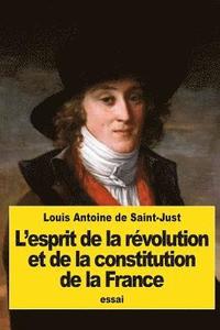 bokomslag L'esprit de la révolution et de la constitution de la France