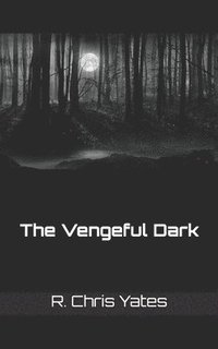 bokomslag The Vengeful Dark