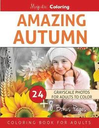bokomslag Amazing Autumn: Grayscale Coloring Book for Adults