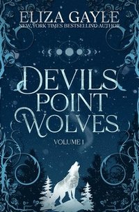 bokomslag Devils Point Wolves