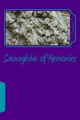 bokomslag Snowglobe of Memories