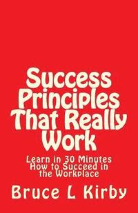 bokomslag Success Principles That Really Work: Learn in 30 Minutes How to Succeed in the Workplace