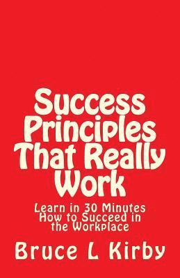 bokomslag Success Principles That Really Work: Learn in 30 Minutes How to Succeed in the Workplace