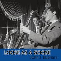 bokomslag Loose as a Goose