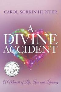 bokomslag A Divine Accident: A Memoir of Life, Love and Learning