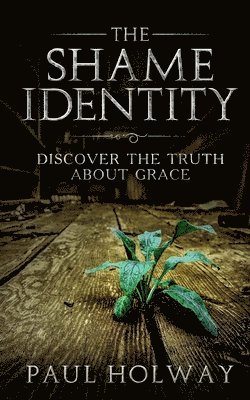 The Shame Identity: Discover the truth about grace. 1