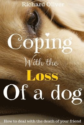 Coping With The Loss Of A Dog: How To Deal With The Death Of Your Friend 1