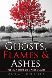 bokomslag Ghosts, Flames & Ashes