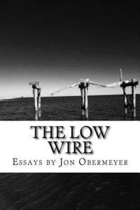 bokomslag The Low Wire: Meditations on Loss and Creative Restoration