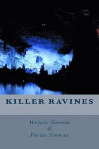 bokomslag Killer Ravines