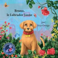 bokomslag Bruno, le Labrador Jaune