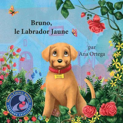 Bruno, le Labrador Jaune 1