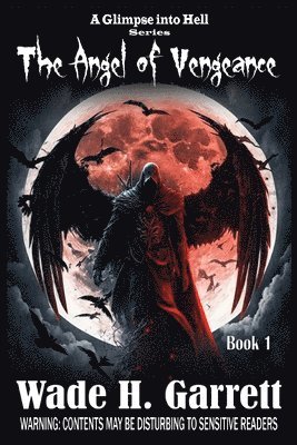 bokomslag Angel of Vengeance