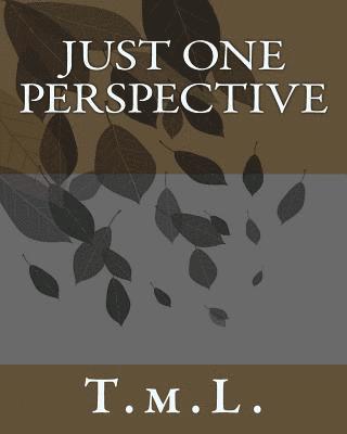 Just One Perspective 1