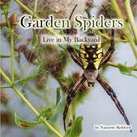 bokomslag Garden Spiders