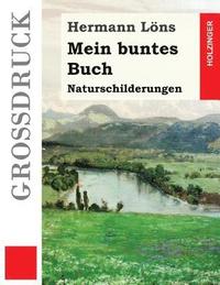 bokomslag Mein buntes Buch (Großdruck): Naturschilderungen