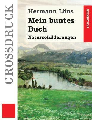 bokomslag Mein buntes Buch (Großdruck): Naturschilderungen