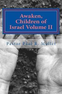 bokomslag Awaken, Children of Israel II