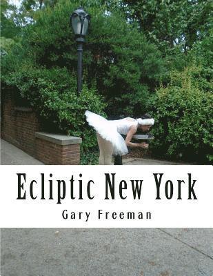 Ecliptic New York 1