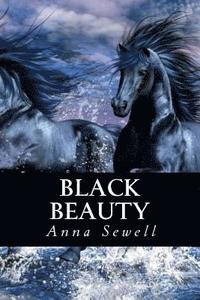 bokomslag Black Beauty