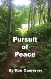 bokomslag Pursuit of Peace