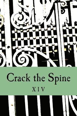 bokomslag Crack the Spine XIV