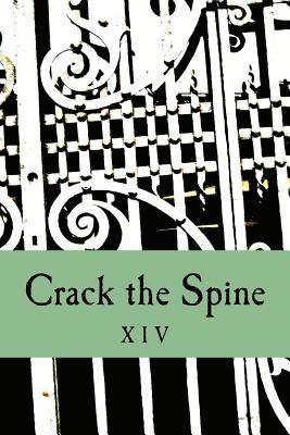 Crack the Spine XIV 1