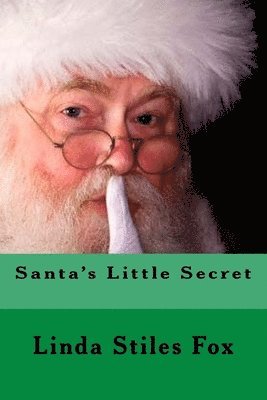 bokomslag Santa's Little Secret