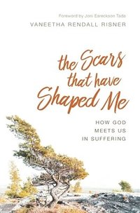 bokomslag The Scars That Have Shaped Me: How God Meets Us in Suffering