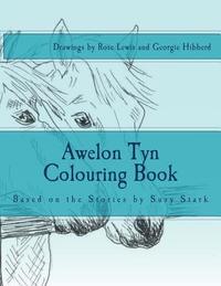 bokomslag Awelon Tyn Colouring Book