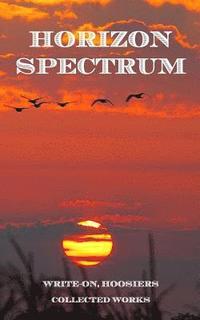 bokomslag Horizon Spectrum: Collected works from Northwest Indiana writers