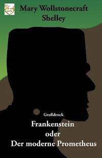 bokomslag Frankenstein oder Der moderne Prometheus (Großdruck)